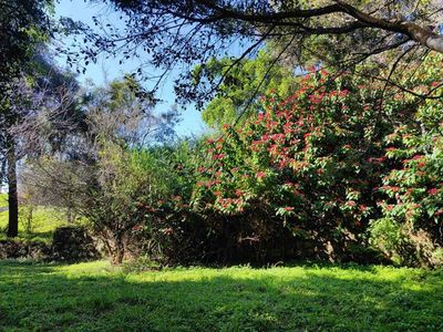 冬日梅子湖 綠意氤氳，清幽氧吧