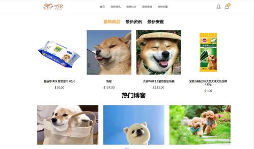 寵物服務網(wǎng)站的設計與實現(xiàn)