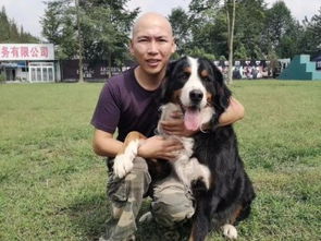 專業訓狗，成就非凡 成都勇軍訓犬基地的服務與價值